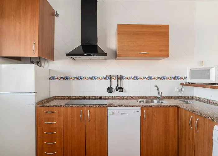 Olivos * Conil de la Frontera