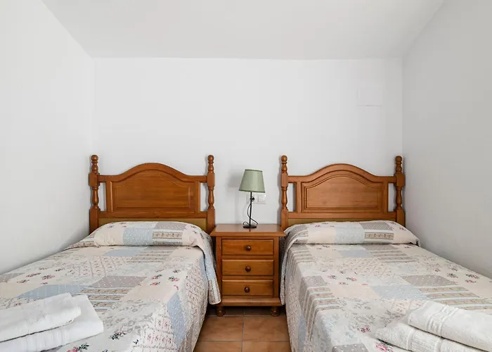 Olivos * Conil De La Frontera